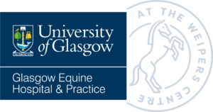 University of Glasgow